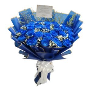 Royal Blue Edition